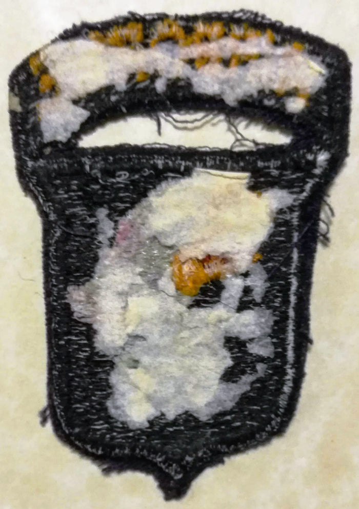 101st Airborne Division Vietnam Era w/ Tab Dress Army Patch