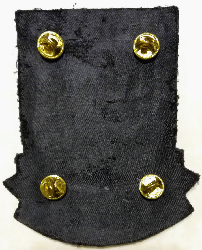 10th Special Forces Group Airborne Association Army Bullion Patch