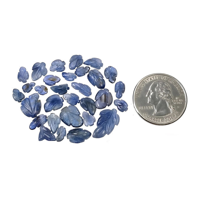 intaglio di foglie di zaffiro blu