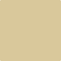 Shop the paint color AF-365 Amulet by Benjamin Moore at Anderson Paint Company in Ann Arbor, Michigan.
