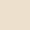 Shop the paint color CC-140 Barely Beige by Benjamin Moore at Anderson Paint Company in Ann Arbor, Michigan.