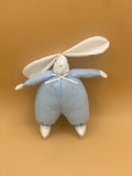 Blue Bunny