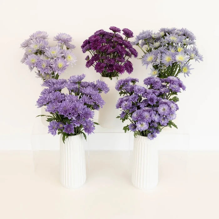 Purple Sapphire Pom Diy Flower Kit Stem - Image