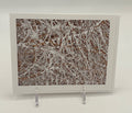 Central Park Snow Cover Boxed Cards