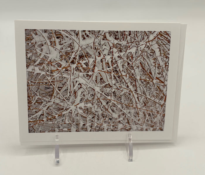 Central Park Snow Cover Boxed Cards
