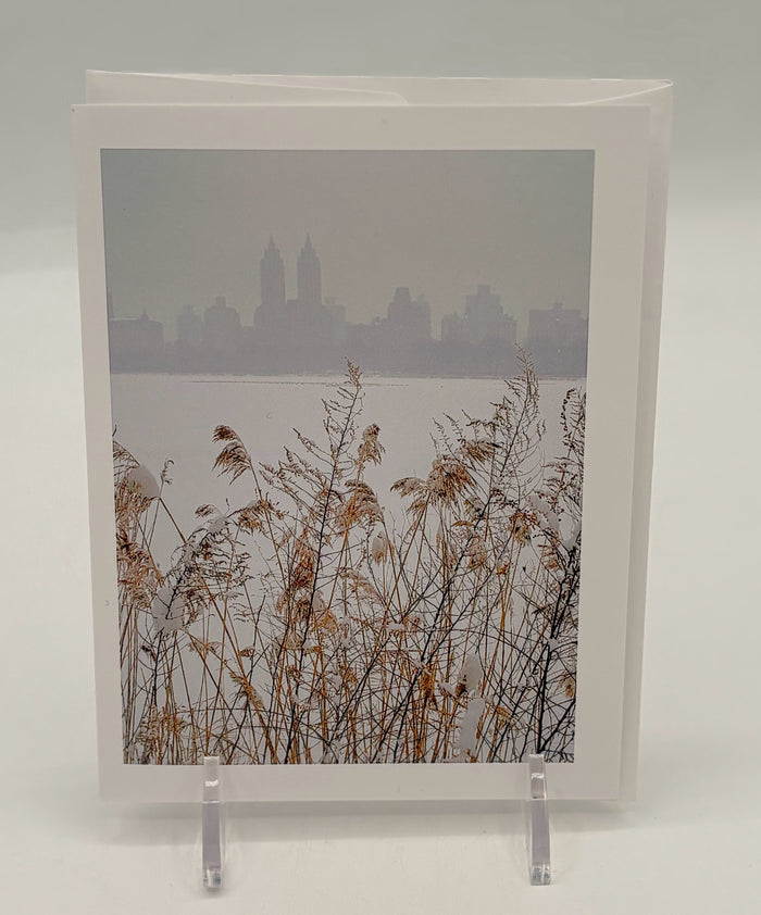 Central Park Snow Storm and Skyline Boxed Cards