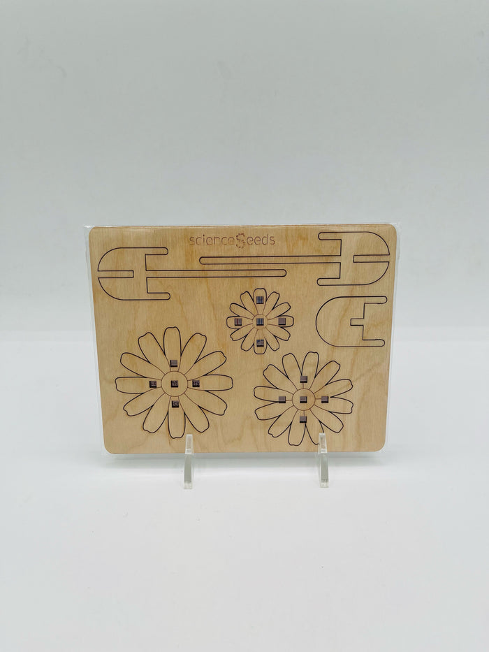 Daisy Spinning Top Kit