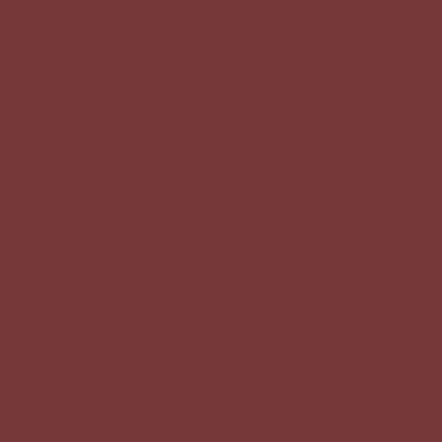 Shop the paint color AF-300 Dinner Party by Benjamin Moore at Anderson Paint Company in Ann Arbor, Michigan.