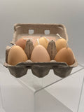 Egg Candles - 6 Pack Carton