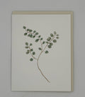 Eucalyptus Card
