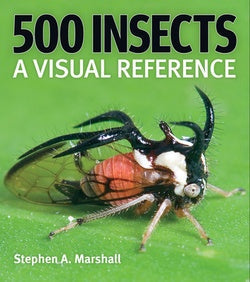 Firefly - 500 Insects a Visual Reference