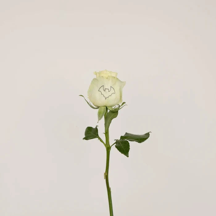 Glow In The Dark Black Bat Rose Stem - Image