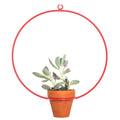 Hanging Circle Red Planter - Planters_Hanging