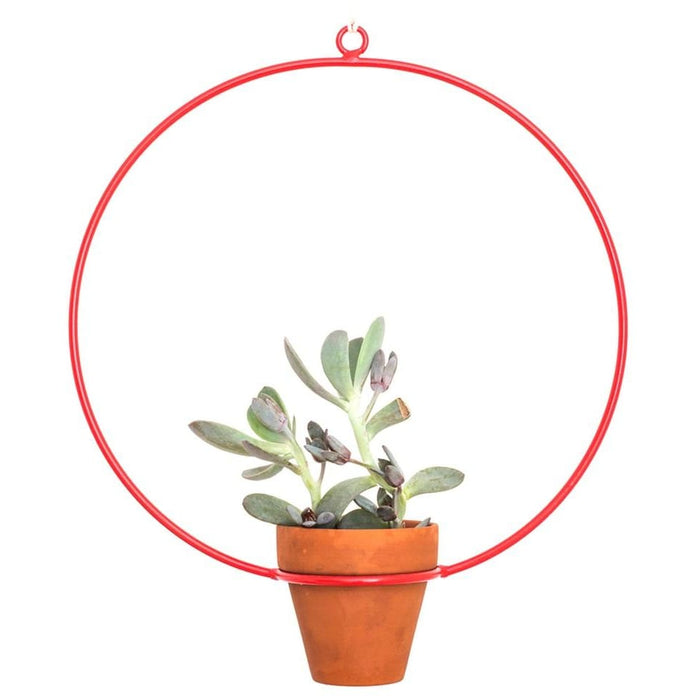 Hanging Circle Red Planter - Planters_Hanging