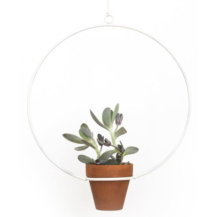 Hanging Circle White Planter - Planters_Hanging