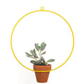 Hanging Circle Yellow Planter - Planters_Hanging