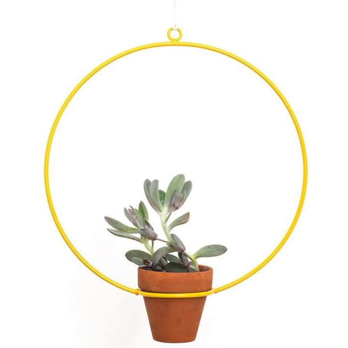 Hanging Circle Yellow Planter - Planters_Hanging