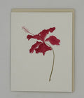 Hibiscus Card