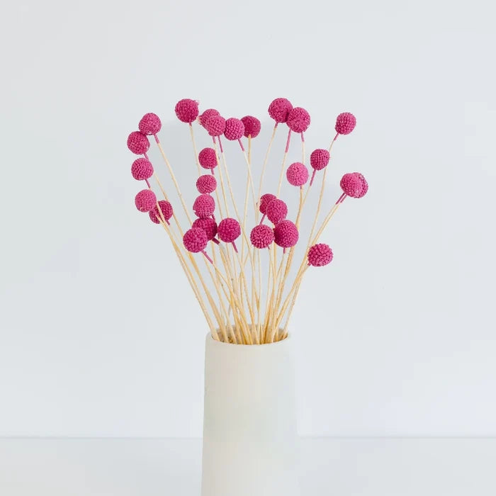 Pink Dried Craspedia Billy Ball Vase - Image