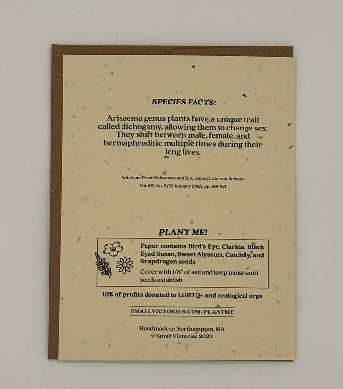 Jack-In-The_Pulpit & Green Dragon Plantable Wildflower Card