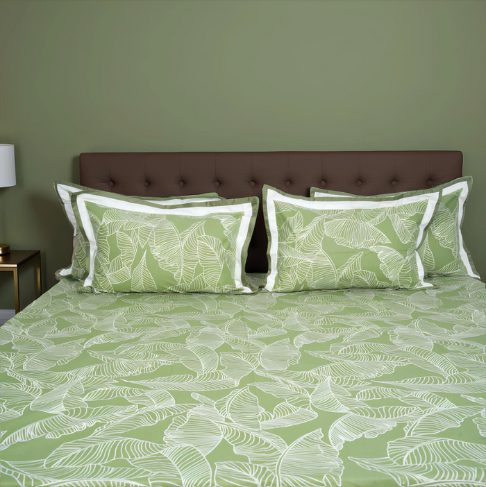 Lavish Olive Grove 100% Cotton King-Size Bedsheet + 2 Pillow Covers
