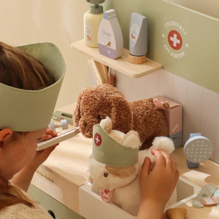 Little Dutch - Veterinary Practice - Mabel & Fox