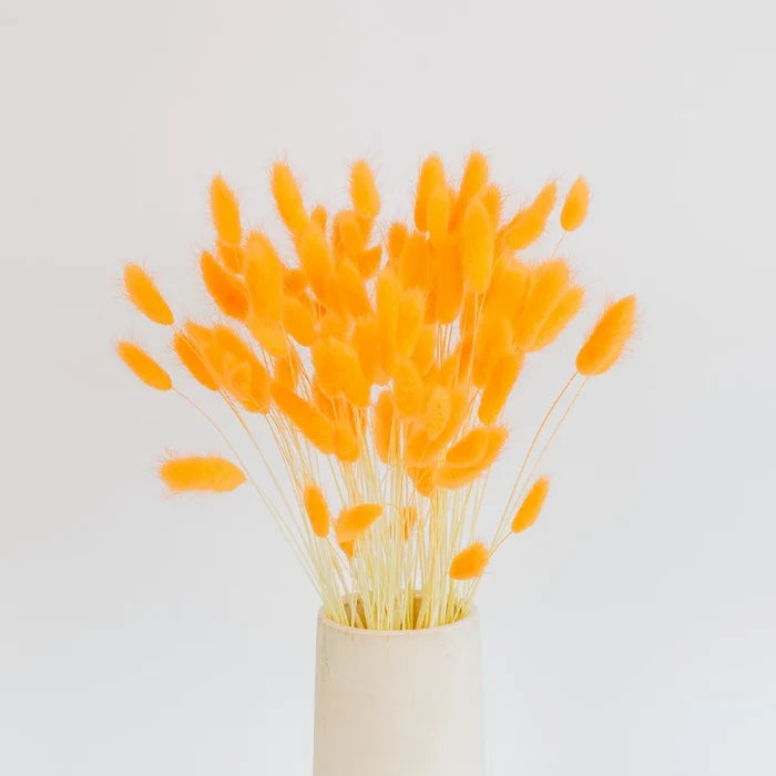 Rustic Orange Dried Bunny Tails Vase - Image