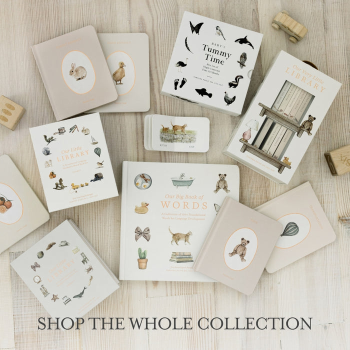 Paige Tate & Co. – Book Box Set – Our Little Library Vol. 2 - Mabel & Fox