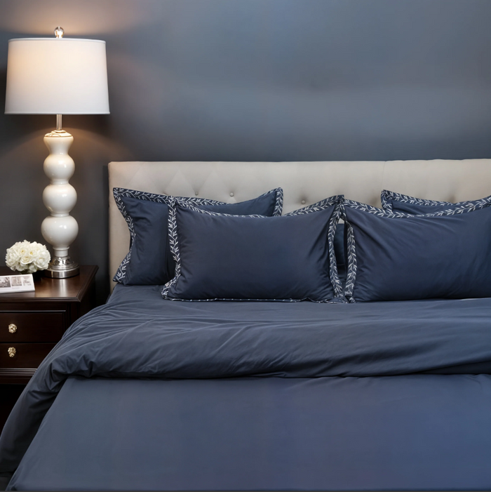 Pristine Cloud Border (300 TC) - 100% Cotton King-Size Bedsheet + 2 Pillow Covers