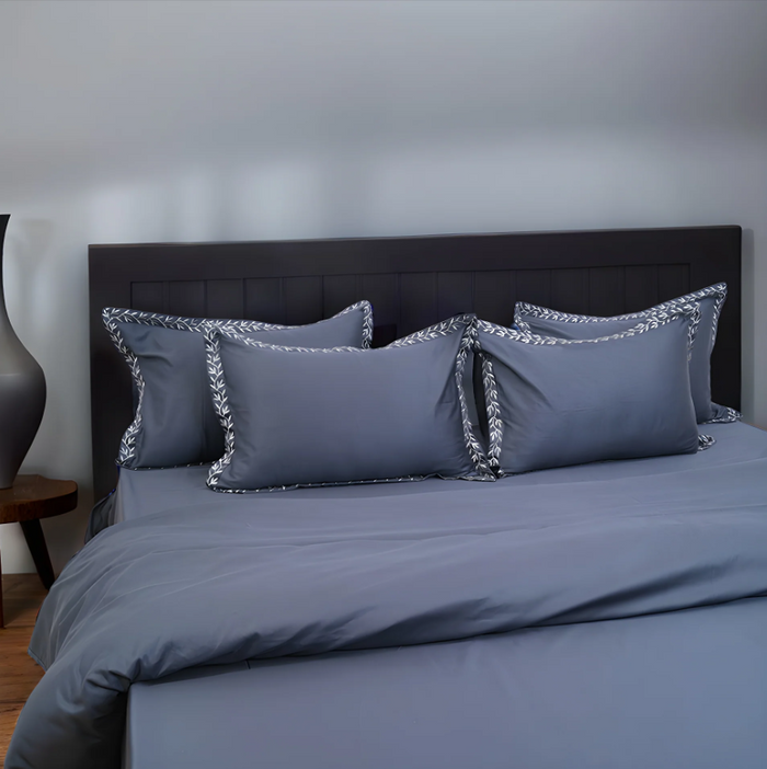 Pristine Cloud Border (300 TC) - 100% Cotton King-Size Bedsheet + 2 Pillow Covers