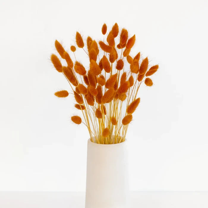 Rustic Brown Dried Bunny Tails Vase - Image