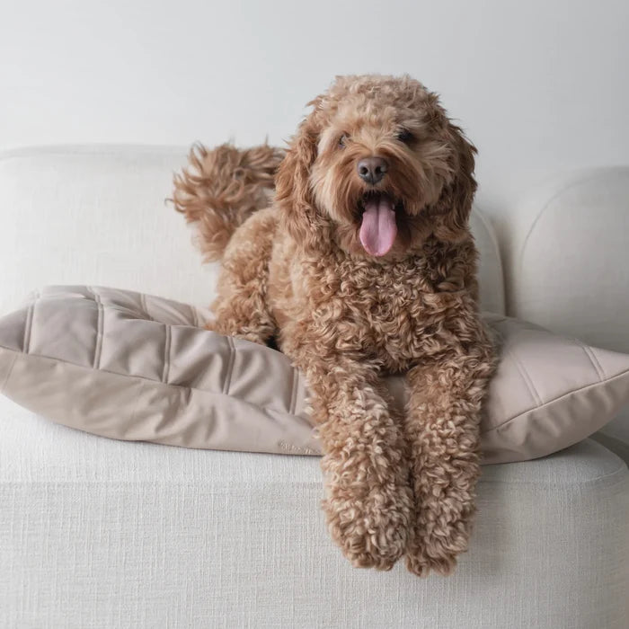 SP - Pillow Dog Bed - Reversible, Water Resistant