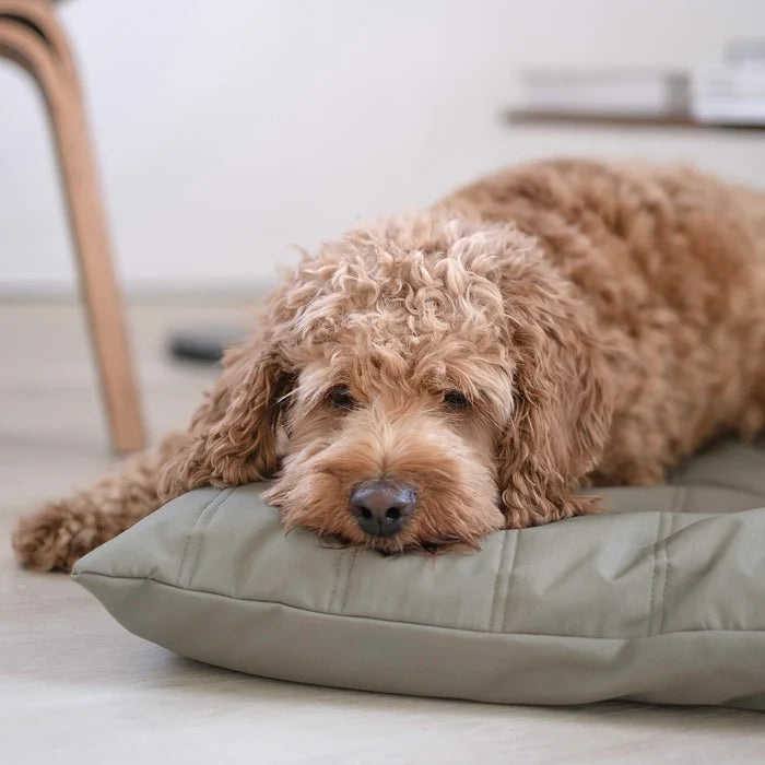 SP - Pillow Dog Bed - Reversible, Water Resistant