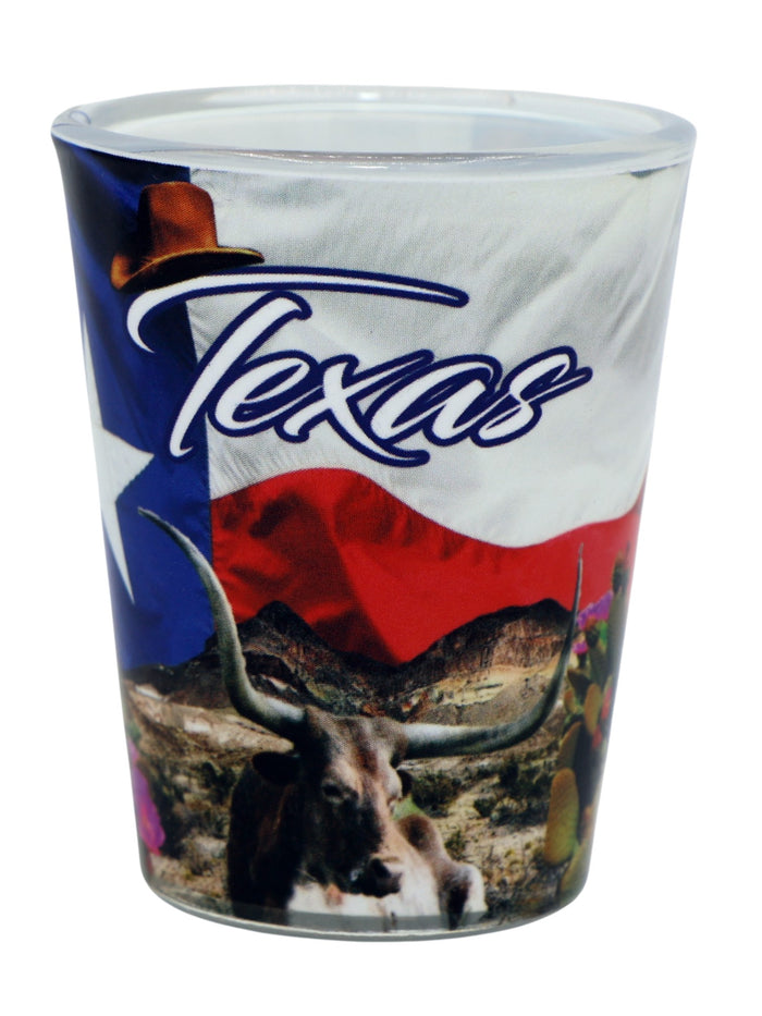Texas Flag and Bull Shot Glass