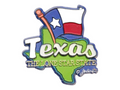 Texas State Map-Flag Fridge Collectible Souvenir Magnet