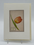 Tuilp Thinking Of You Card