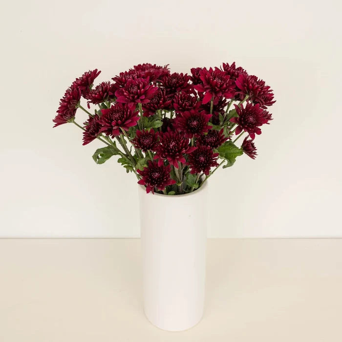 Cushion Paulina Vase - Image