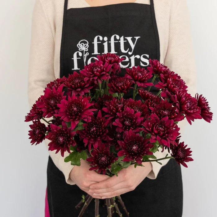Cushion Paulina Apron - Image
