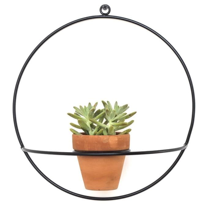 Wall Circle Black Planter - Planters_Wall