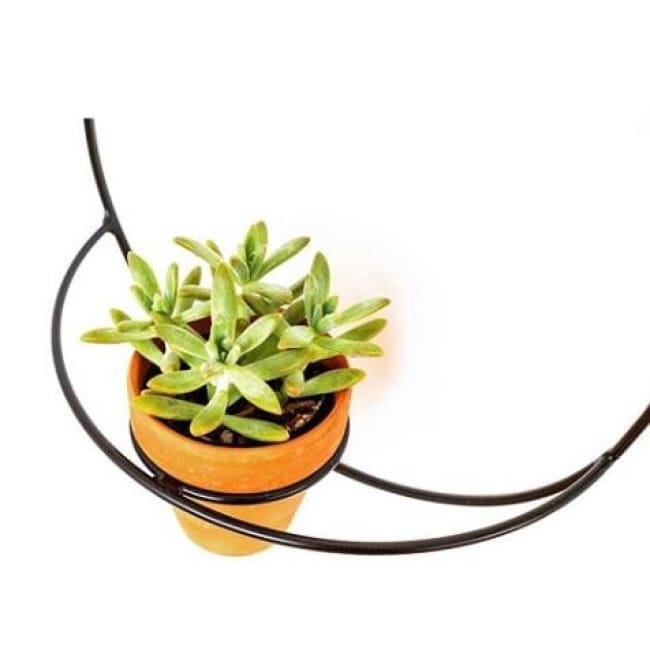 Wall Circle Black Planter - Planters_Wall