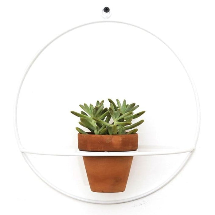 Wall Circle White Planter - Planters_Wall
