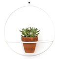 Wall Circle White Planter - Planters_Wall