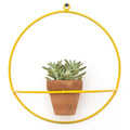 Wall Circle Yellow Planter - Planters_Hanging