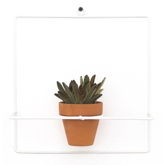 Wall Square White Planter - Planters_Wall