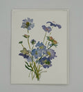 Watercolor Blue Scabiosa Card