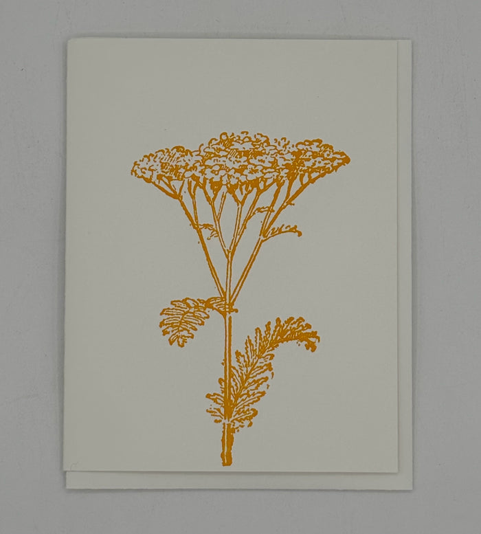 Yellow Yarrow Card